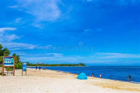 Tropical Mexican Beach Sand Palm People Playa Del Carmen Mexico