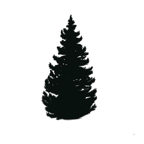 Pine Tree Procreate Brush Stamp Pack Etsy Canada Pine Tree