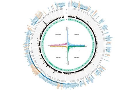 Study With Over Individuals Of African Descent Finds Genetic