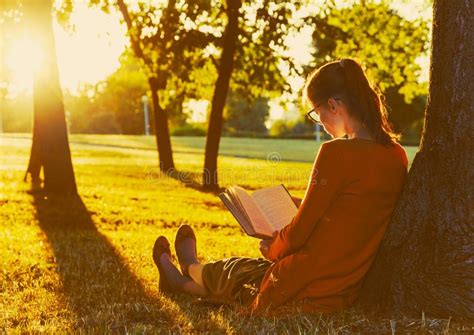 Livro De Leitura Da Menina No Parque Foto De Stock Imagem De Lazer