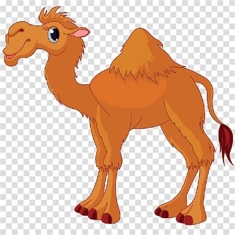 Brown Camel Camel Cartoon Camel Transparent Background Png Clipart