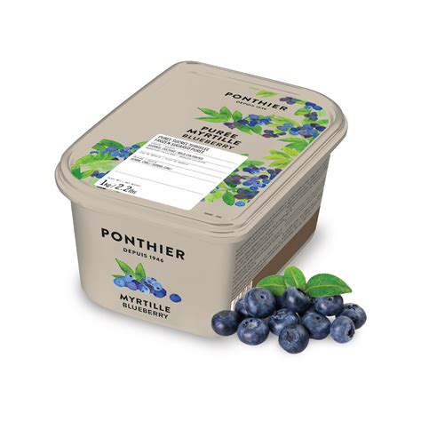 Blueberry Wild Puree - Wisk