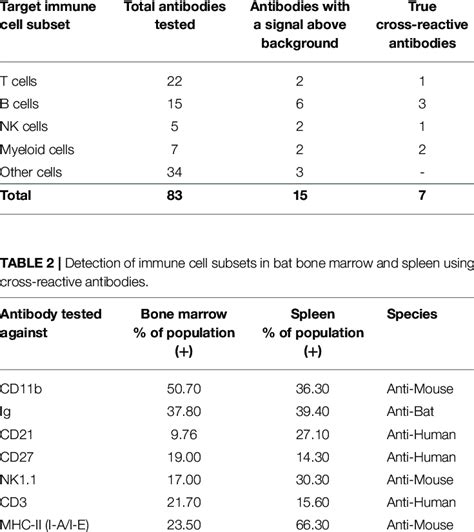 List Of Antibodies Tested By Facs Download Table