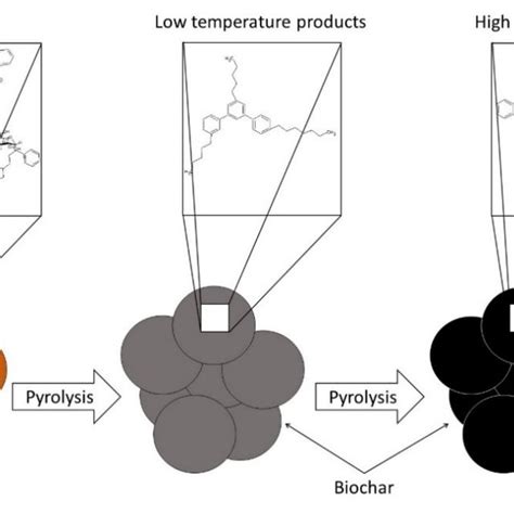 Schematic Representation Of The Chemical Transformations Occurring In