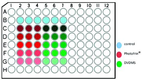 96 Well Plate Diagram