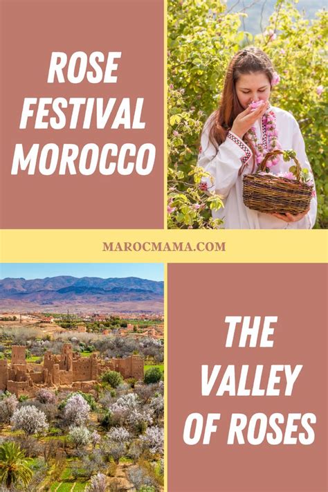 Rose Festival Morocco The Valley Of Roses Morocco Festival