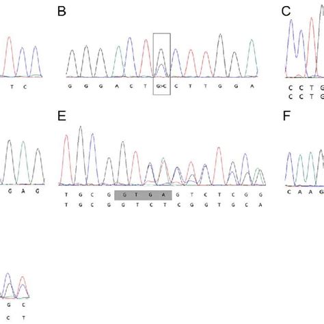 Sanger Sequencing Results For Next Generation Sequencing Determined