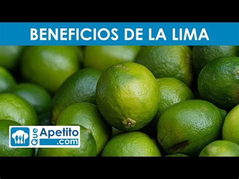 Descubre todo sobre la fruta lima: origen, beneficios y usos