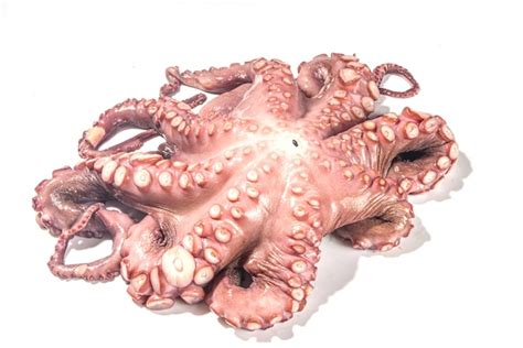 Pulpo De Marisco Grande Crudo Listo Para Cocinar Aislado Sobre Fondo