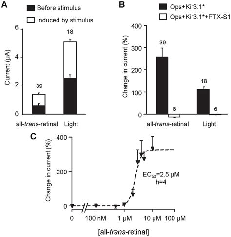 PTX Sensitive Activation Of Kir3 1 By Opsin And All Trans Retinal Or