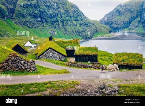 Stunning Summer Scene Of Saksun Village With Typical Turf Top Houses