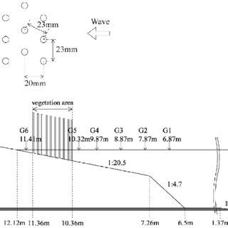 Wave Channel Experiment A Details Of Vegetation Model And B