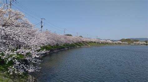 ちくてく新聞