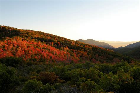 Three Utah Drives To See Colorful Fall Leaves Axios Salt Lake City