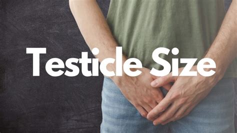 How To Increase Testicle Size Busting Myths And Understanding Facts