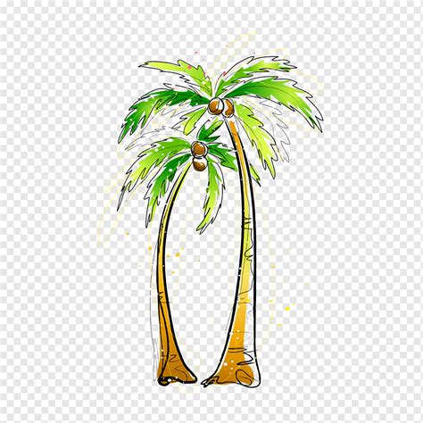 Arecaceae ilustração de pintura de coco coqueiro Pintura em aquarela