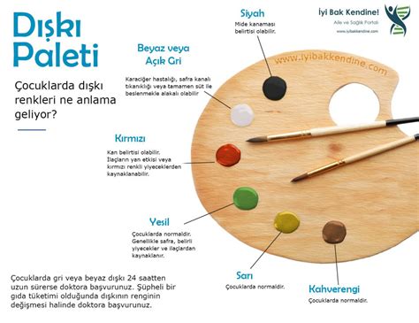 Çocuklarda Kaka Renkleri Sarı Yeşil Siyah Kırmızı Gri Kaka Neden Olur