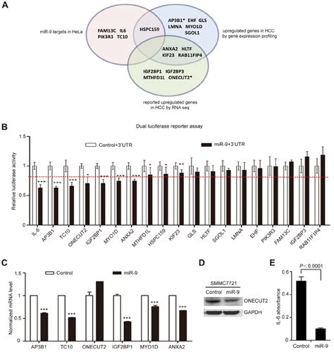 Comprehensive Screening For Mir 9 Downstream Target In Hcc A Download Scientific Diagram