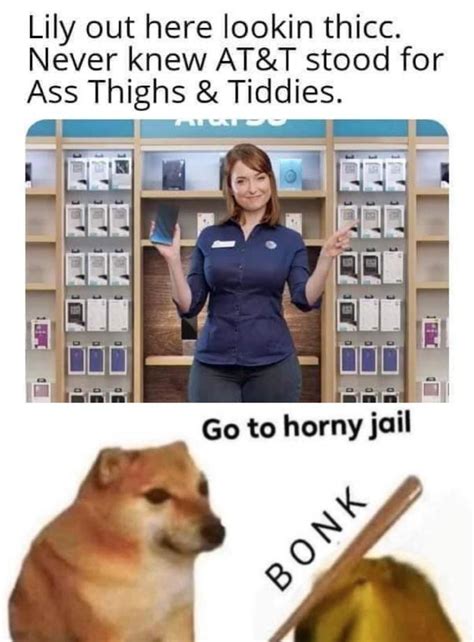 Times People Were Bonked Straight To Horny Jail Know Your Meme