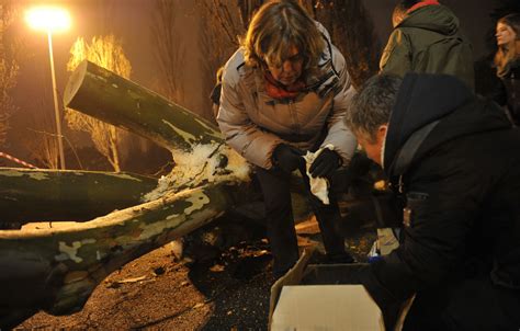 Strasbourg Après un abattage darbres Le réveil brutal des chauves souris