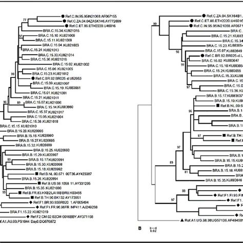 Maximum Likelihood Phylogenetic Trees For The Pol A And Env B Hiv