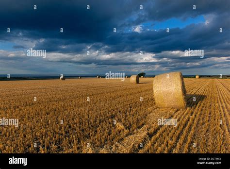 Stubble And Straw Bales After Harvest At Salthouse Norfolk Towards The