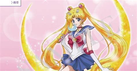 Sailor Moon Confirms Your Love With Marriage Registration Forms