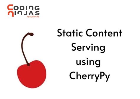 Static Content Serving In Cherry Py Naukri Code