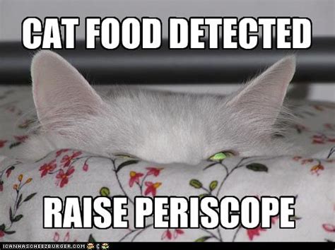 RAISE PERISCOPE - Cheezburger - Funny Memes | Funny Pictures