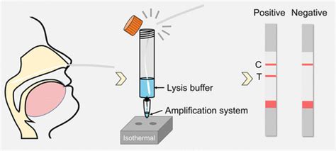 Frontiers In Nano Bio Analysis Virtual Issue