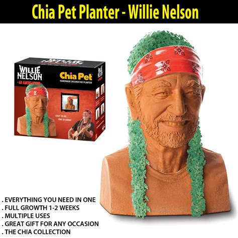 Chia Pet Planter - Willie Nelson - Decorative Collectibles