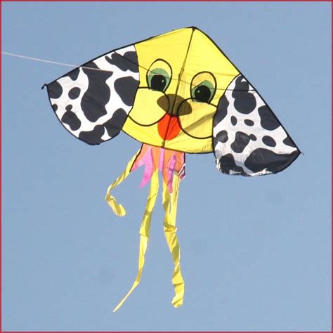 71 Best Images About Flying High With Jesus On Pinterest Kids Kites