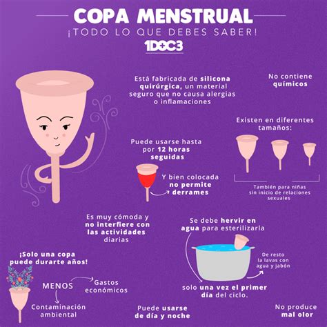 La Copa Menstrual Lo Que Debes Saber