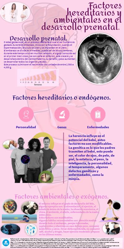 Reto 2 Unidad 2 Desarrollo Prenatal