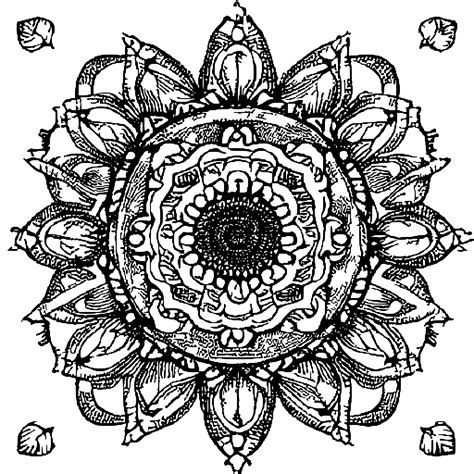 Mandala Flower Coloring Page · Creative Fabrica