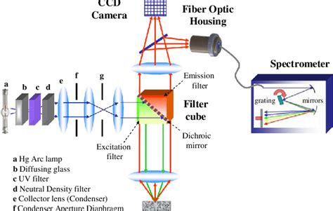 Schematic Drawing Of The Optical Setup Utilizing Lspr Enhanced