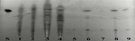 Ochratoxin A Screening using TLC. S: Ochratoxin A standard, 1-4: Coffee ...