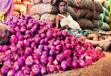 Onion Exports Uae