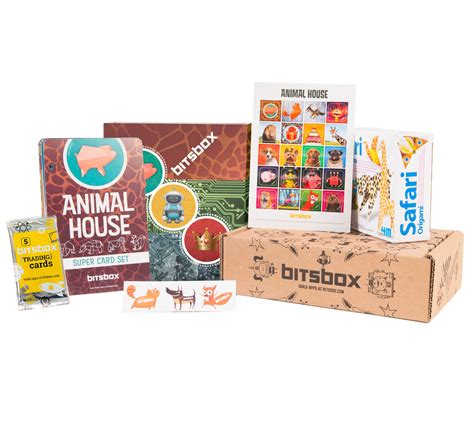 Bitsbox Coding For Kids