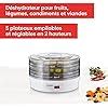 SEVERIN Déshydrateur 250 W Déshydrateur de fruits légumes condiments