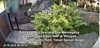 Viral Aksi Begal Payudara Siswi SMP Di Bogor Pelaku Diduga ODGJ