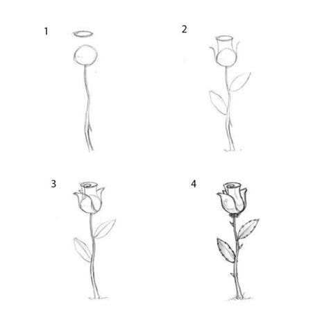 Rose Drawings In Pencil Step By Step