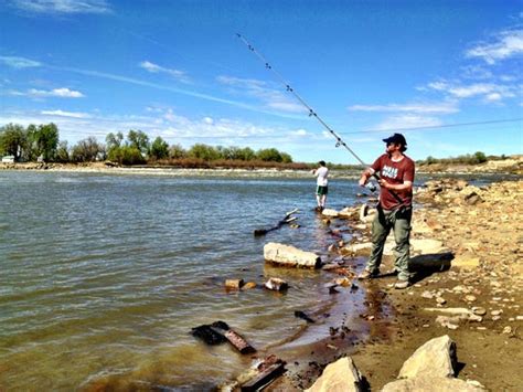 Catch A Dinosaur Paddlefish Season Opens Wednesday