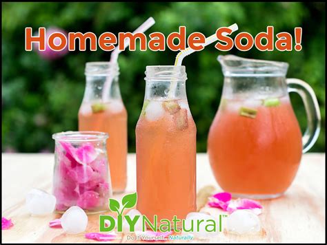 Homemade Sodastream Syrup Recipes Dandk Organizer