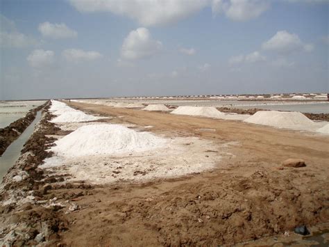 Rann of Kutch - India Travel Forum | IndiaMike.com