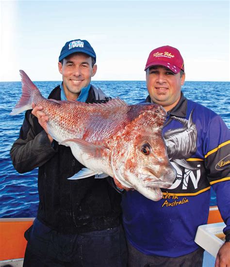 LIVE BAITING DEEP WATER SNAPPER AFN Fishing Outdoors