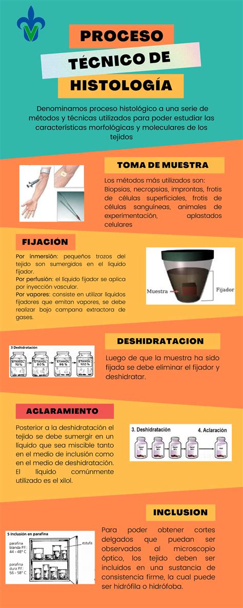 Infografia Sobre La Tecnica Histologica Actual Proceso Histolog A The