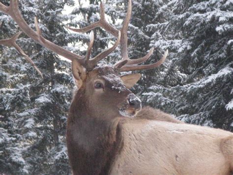 Top 5 Reasons to Study English at Banff Language School this summer