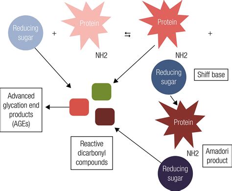 Glycated Albumin A Potential Biomarker In Diabetes Archives Of