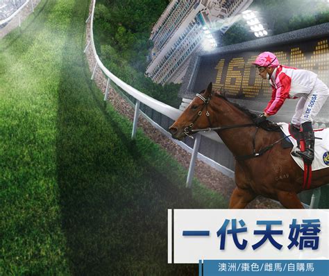 參賽馬匹 香港經典一哩賽 四歲馬經典賽事系列 香港賽馬會